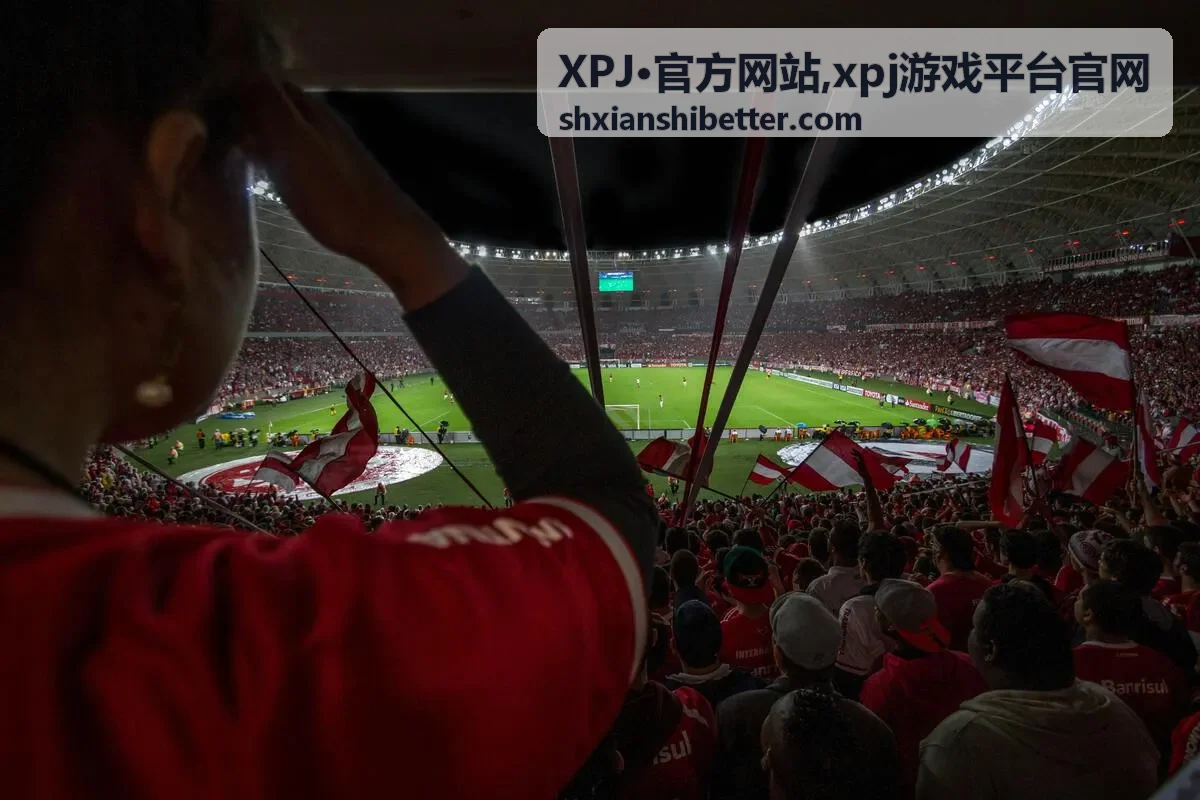 xpj游戏平台官网访问指引内容图