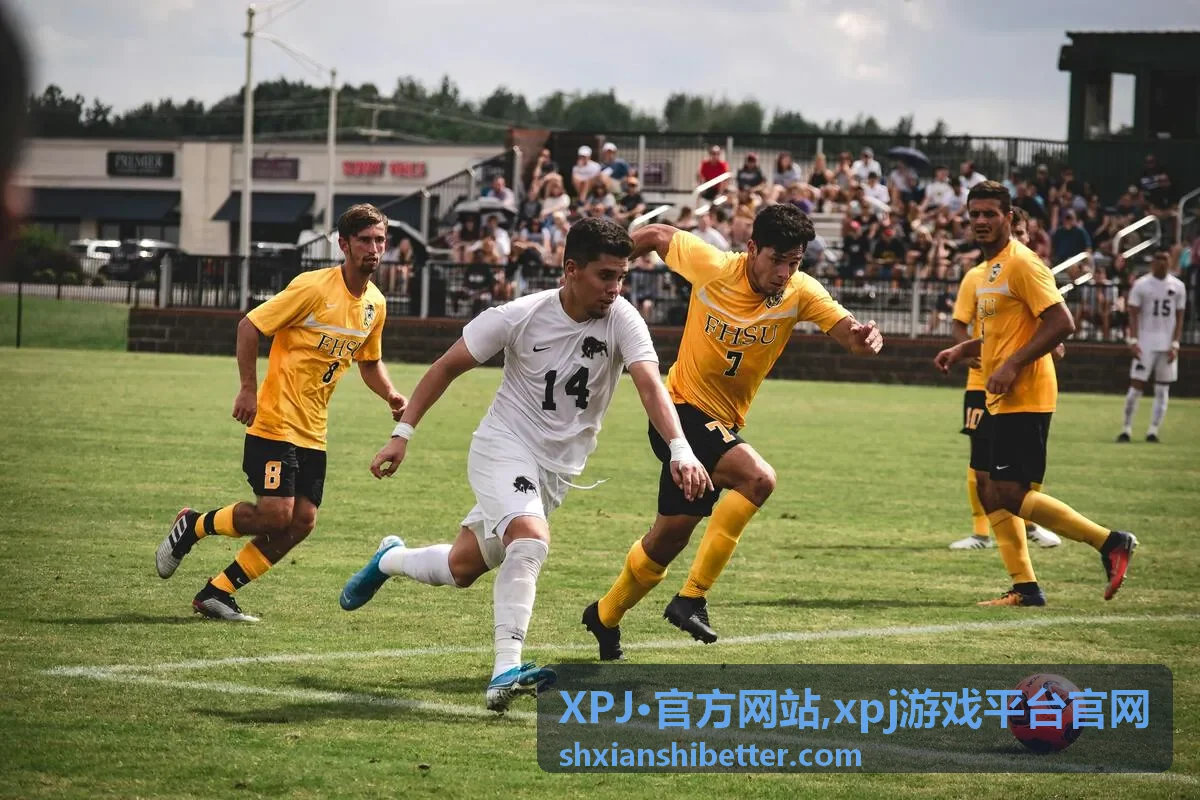 XPJ·官方网站常见问题说明图