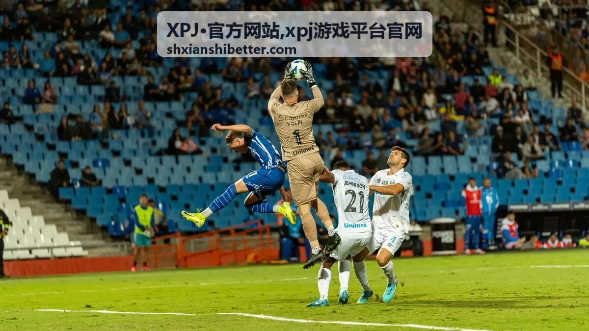 XPJ·官方网站常见问题内容封面